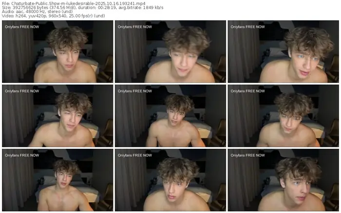 2025/10/16/chaturbate-lukedesirable-19-32-41