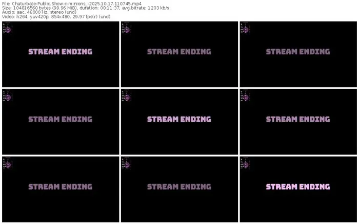 2025/10/17/chaturbate-minions_-11-07-45