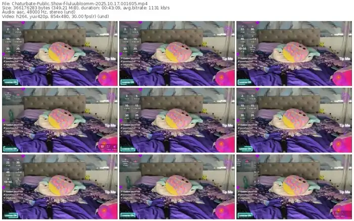 2025/10/17/chaturbate-luluubloomm-00-16-05