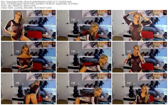 2025/10/17/chaturbate-wildwifebarbie-19-18-29