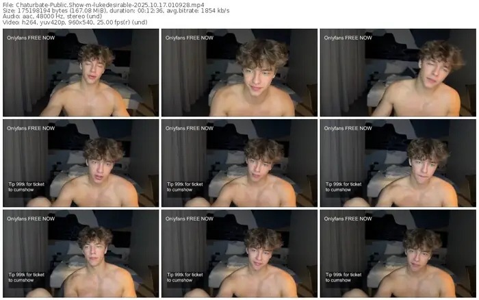 2025/10/17/chaturbate-lukedesirable-01-09-28