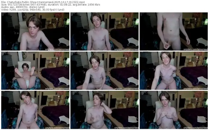2025/10/17/chaturbate-tannorreed-01-23-22