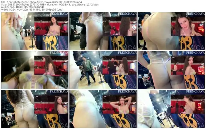 2025/10/18/chaturbate-frenchava-01-39-20