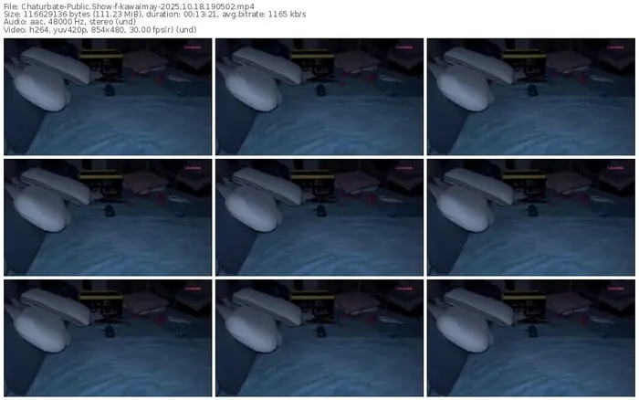 2025/10/18/chaturbate-kawaimay-19-05-02