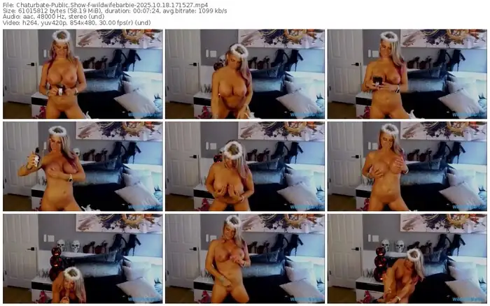 2025/10/18/chaturbate-wildwifebarbie-17-15-27