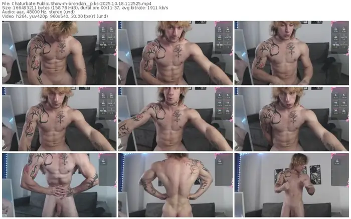 2025/10/18/chaturbate-brendan__piks-11-25-25
