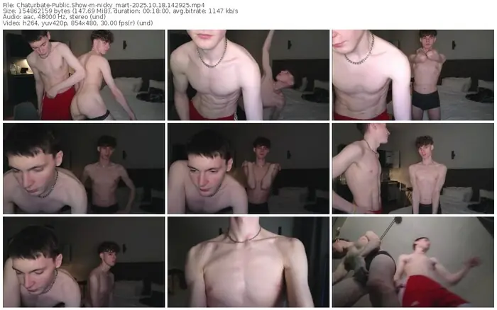 2025/10/18/chaturbate-nicky_mart-14-29-25