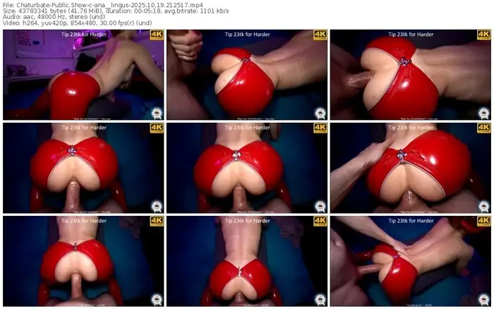 2025/10/19/chaturbate-ana__lingus-21-25-17