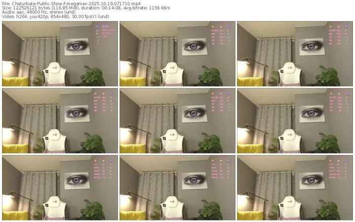 2025/10/19/chaturbate-meganiex-07-17-10