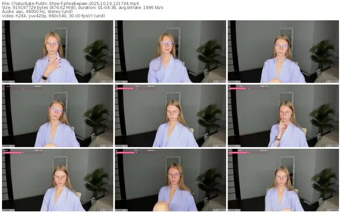 2025/10/19/chaturbate-phoebepaw-12-17-34