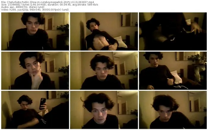 2025/10/19/chaturbate-cuteboymegadick-06-36-37