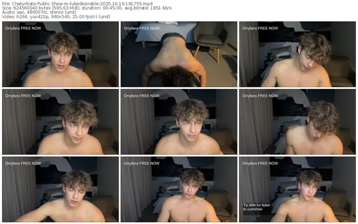 2025/10/19/chaturbate-lukedesirable-19-17-55