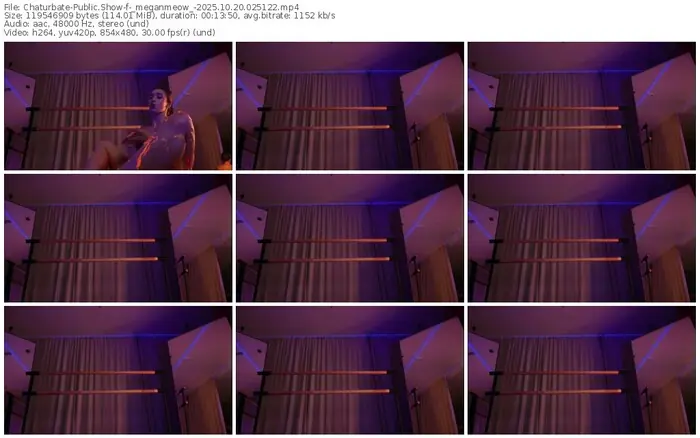 2025/10/20/chaturbate-_meganmeow_-02-51-22