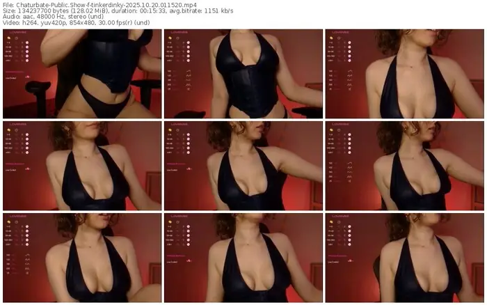 2025/10/20/chaturbate-tinkerdinky-01-15-20