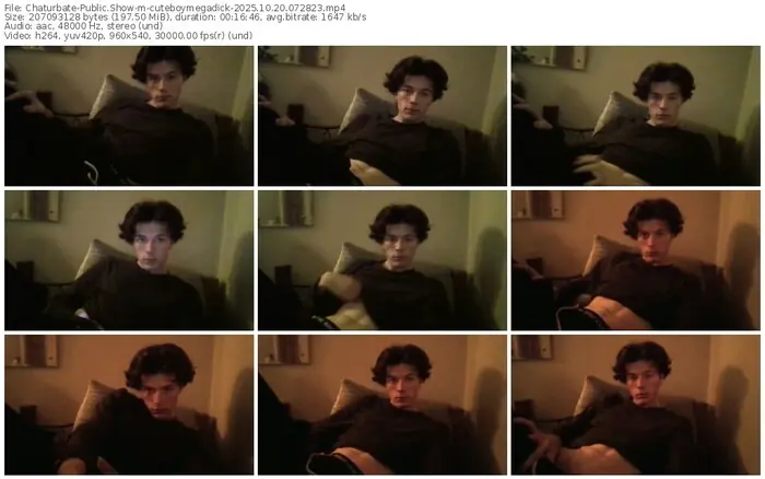 2025/10/20/chaturbate-cuteboymegadick-07-28-23