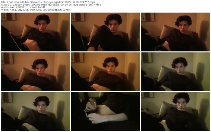 2025/10/20/chaturbate-cuteboymegadick-07-47-57