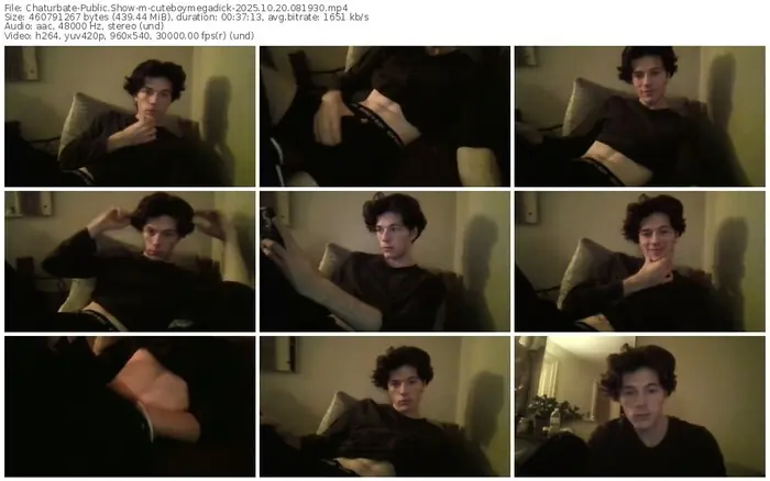 2025/10/20/chaturbate-cuteboymegadick-08-19-30