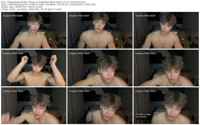 2025/10/20/chaturbate-lukedesirable-21-02-28