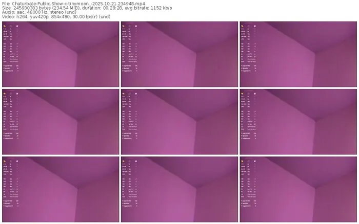 2025/10/21/chaturbate-tinymoon_-23-49-48