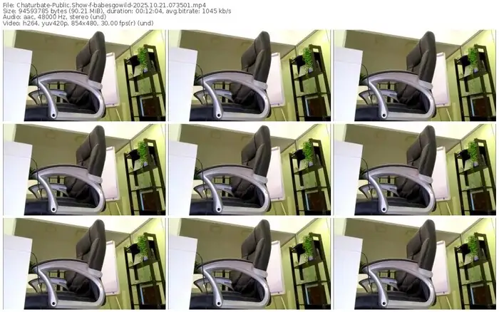 2025/10/21/chaturbate-babesgowild-07-35-01