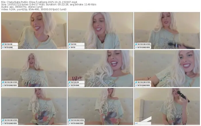 2025/10/21/chaturbate-catberg-15-33-07