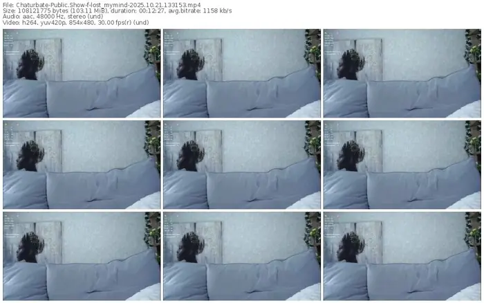 2025/10/21/chaturbate-lost_mymind-13-31-53