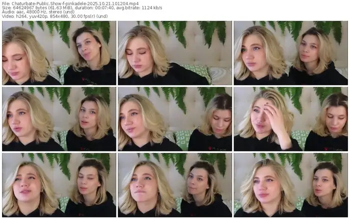 2025/10/21/chaturbate-pinkadele-10-12-04