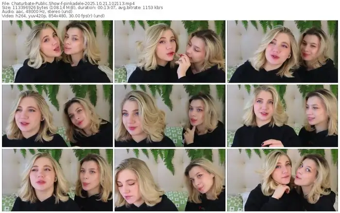 2025/10/21/chaturbate-pinkadele-10-21-13