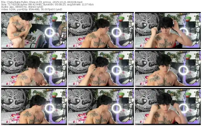 2025/10/21/chaturbate-fit_prince_-06-31-08