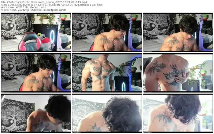 2025/10/21/chaturbate-fit_prince_-08-11-43