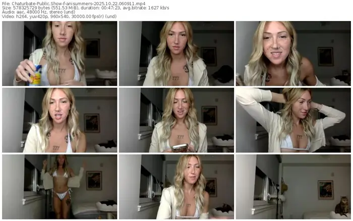 2025/10/22/chaturbate-anisummers-06-09-11