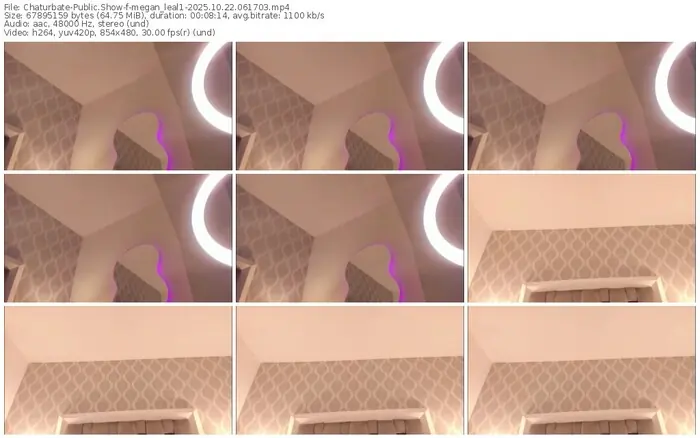 2025/10/22/chaturbate-megan_leal1-06-17-03