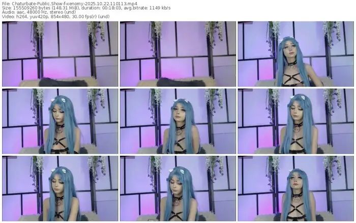 2025/10/22/chaturbate-xenomy-11-01-13