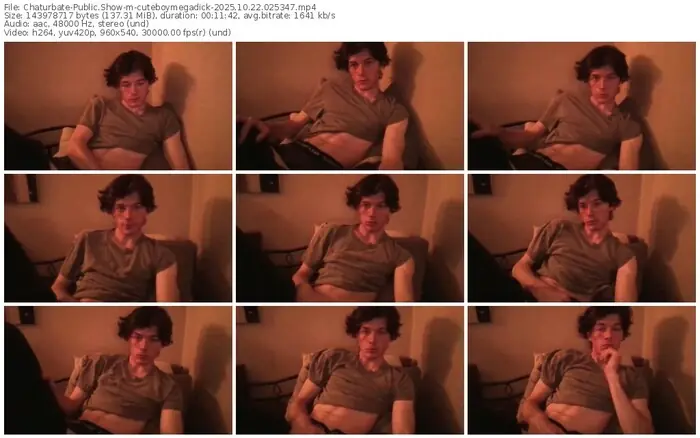 2025/10/22/chaturbate-cuteboymegadick-02-53-47
