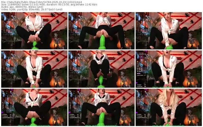 2025/10/23/chaturbate-dory54784-11-00-23