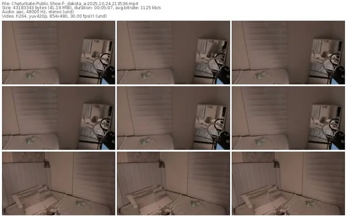 2025/10/24/chaturbate-_dakota_a-21-35-36