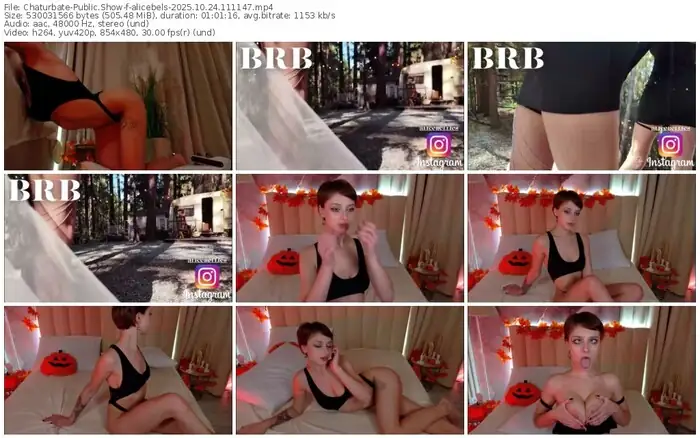 2025/10/24/chaturbate-alicebels-11-11-47