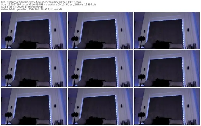 2025/10/24/chaturbate-miladenver-14-33-13