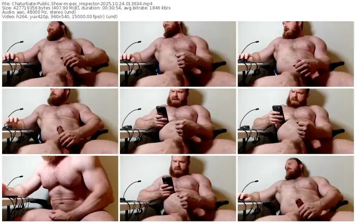 2025/10/24/chaturbate-pec_inspector-01-36-34