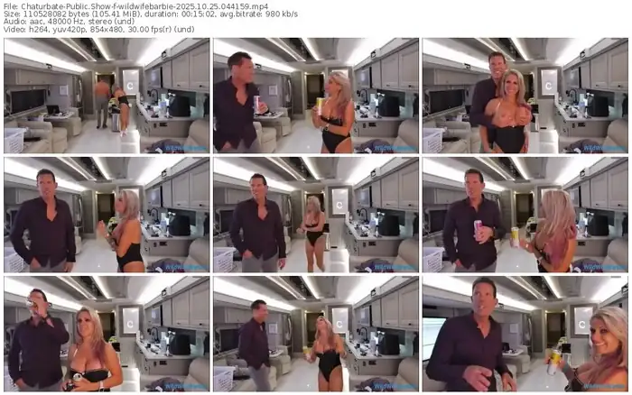 2025/10/25/chaturbate-wildwifebarbie-04-41-59