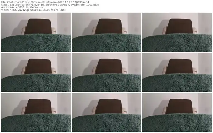 2025/10/25/chaturbate-alotofcream-07-08-33