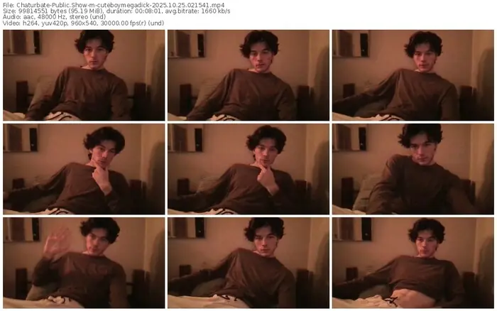 2025/10/25/chaturbate-cuteboymegadick-02-15-41