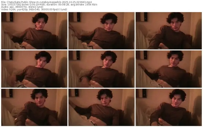 2025/10/25/chaturbate-cuteboymegadick-02-36-43