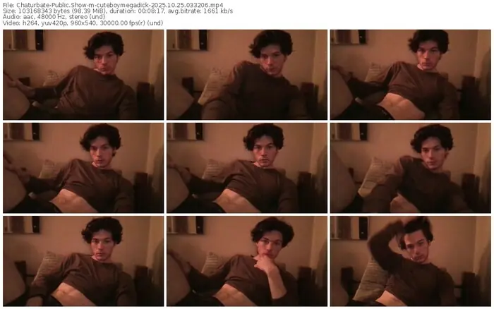 2025/10/25/chaturbate-cuteboymegadick-03-32-06