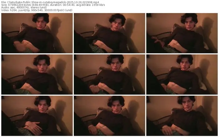 2025/10/26/chaturbate-cuteboymegadick-02-29-38