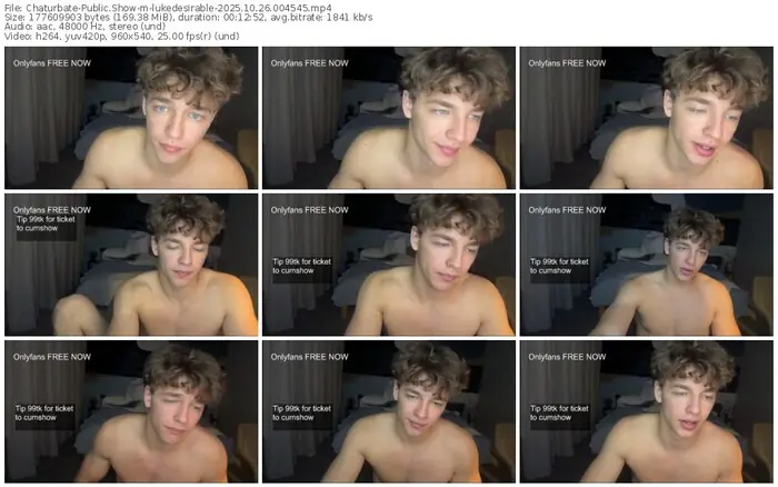 2025/10/26/chaturbate-lukedesirable-00-45-45