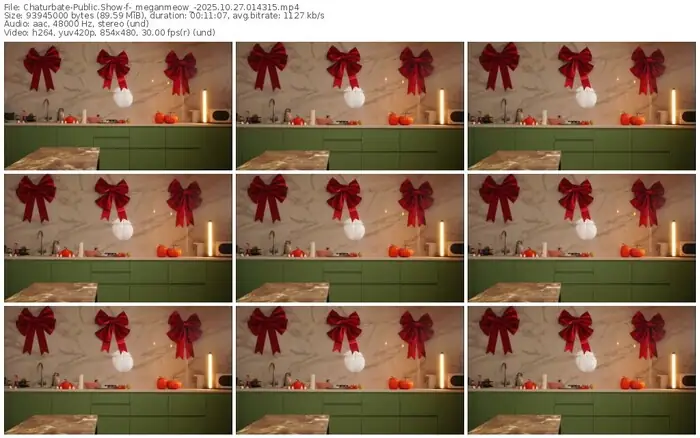 2025/10/27/chaturbate-_meganmeow_-01-43-15