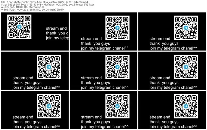 2025/10/27/chaturbate-ameliia_castro-16-44-36