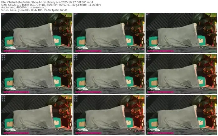 2025/10/27/chaturbate-homehornyeva-00-15-00