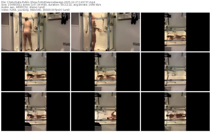 2025/10/27/chaturbate-intothewoodswego-14-37-37